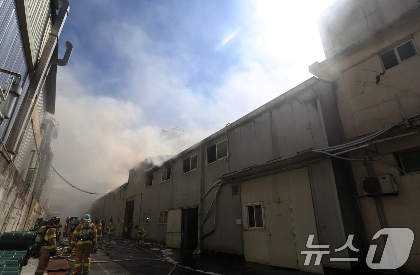 1일 오전 부산 금정구 회동동 한 화학물질 제조공장 2층 실험실에서 원인이 밝혀지지 않은 불이 나 소방대원들이 진화작업을 하고 있다. 2024.8.1/뉴스1 ⓒ News1 윤일지 기자