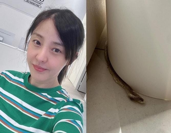 본문 이미지 - (인스타그램 갈무리)