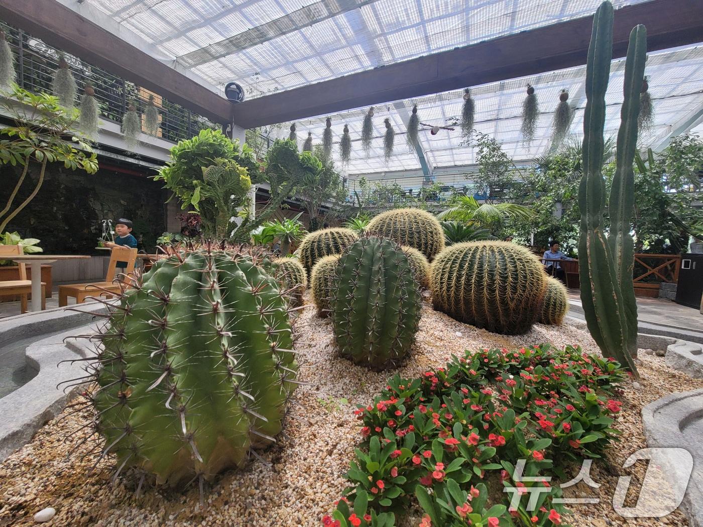 본문 이미지 - 자료사진/뉴스1 ⓒ News1 최창호 기자