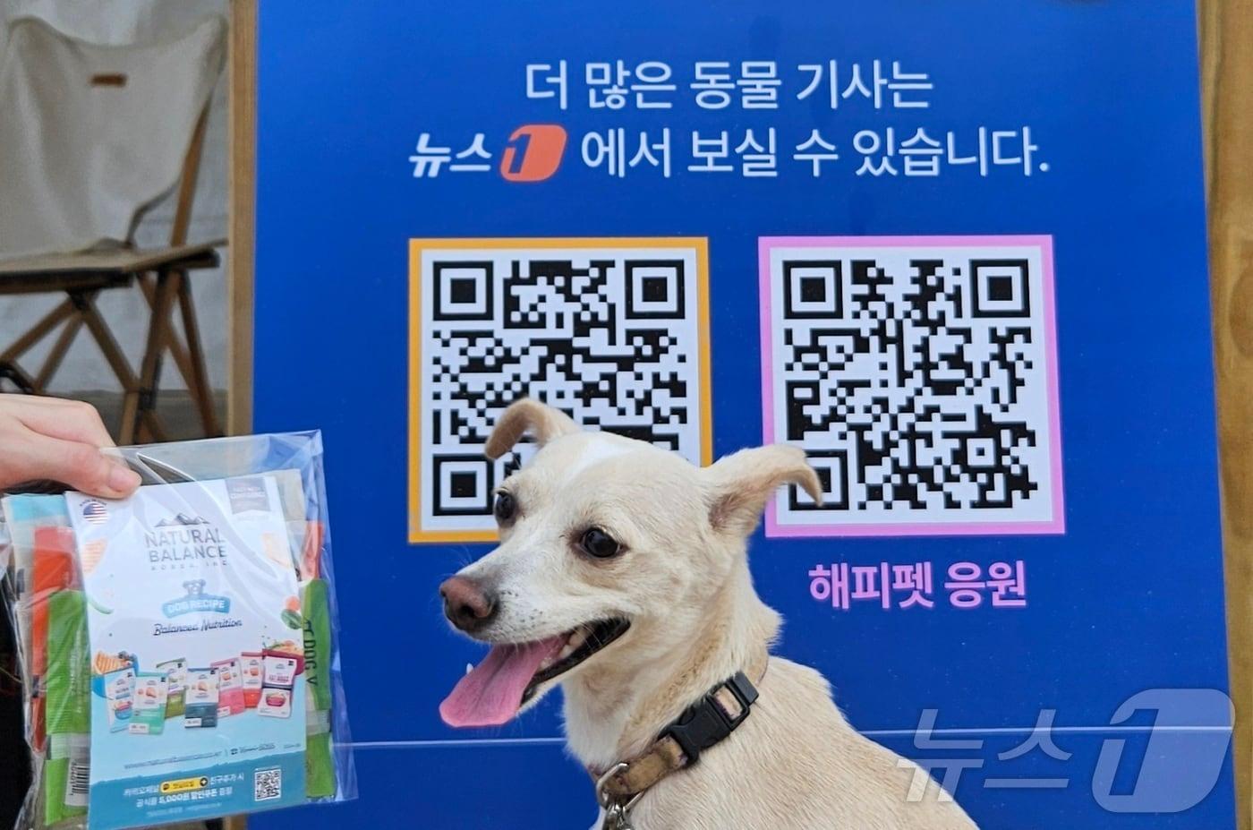 본문 이미지 - 8일 강원 양양 인구해수욕장에서 열린 '2024 뉴스1 썸머 브랜드 페스타'에서 내추럴발란스의 반려동물 영양 사료가 소개됐다. ⓒ 뉴스1 최서윤 기자