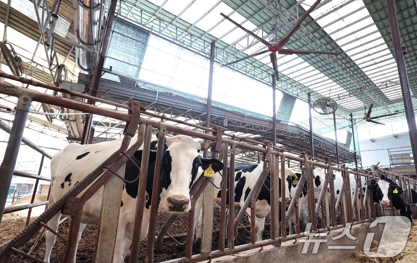 (사진은 기사 내용과 무관함) / 뉴스1 ⓒ News1