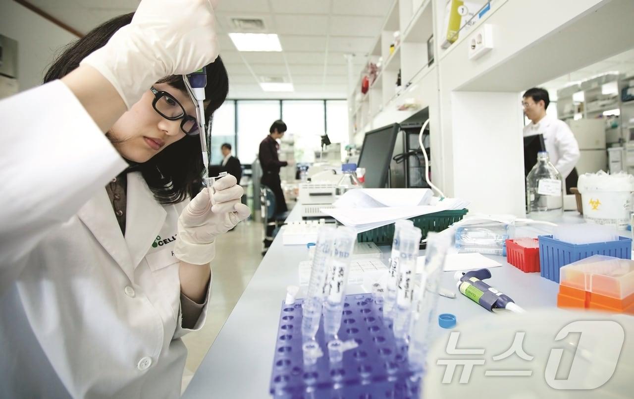 본문 이미지 - 셀트리온 연구원이 후보물질을 살펴보고 있다.(셀트리온 제공)/뉴스1 ⓒ News1