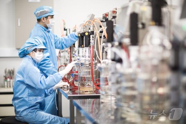 본문 이미지 - 대웅제약 연구원들이 실험실에서 신약 개발 연구에 집중하고 있다.(대웅제약 제공)/뉴스1 ⓒ News1