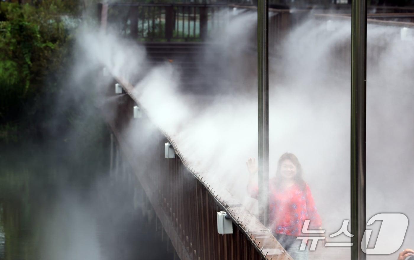 <자료사진> 2024.8.12/뉴스1 ⓒ News1 김태성 기자