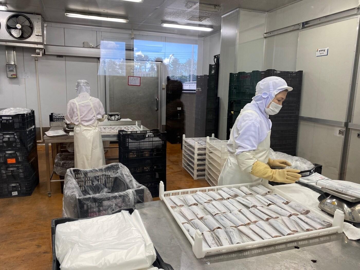 본문 이미지 - 쇼핑엔티 협력사인 제주에스에프영어조합법인을 방문해 제조 시설 등을 둘러보는 모습(쇼핑엔티 제공)