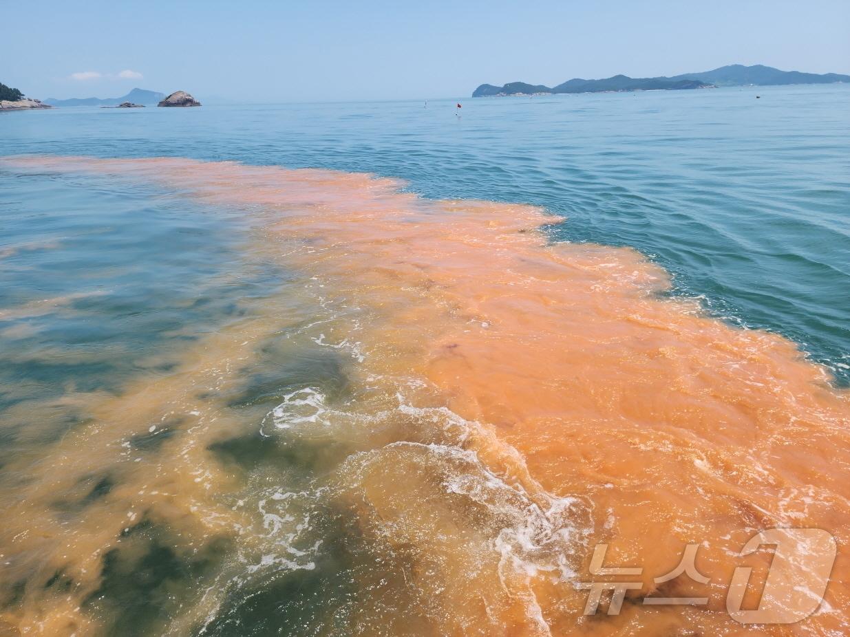 본문 이미지 - 황토 살포 모습.(재판매 및 DB금지)/뉴스1DB