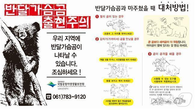 본문 이미지 - 반달가슴곰을 마주쳤을 때 대처 요령. (국립공원공단 지리산전남사무소 제공)/뉴스1 