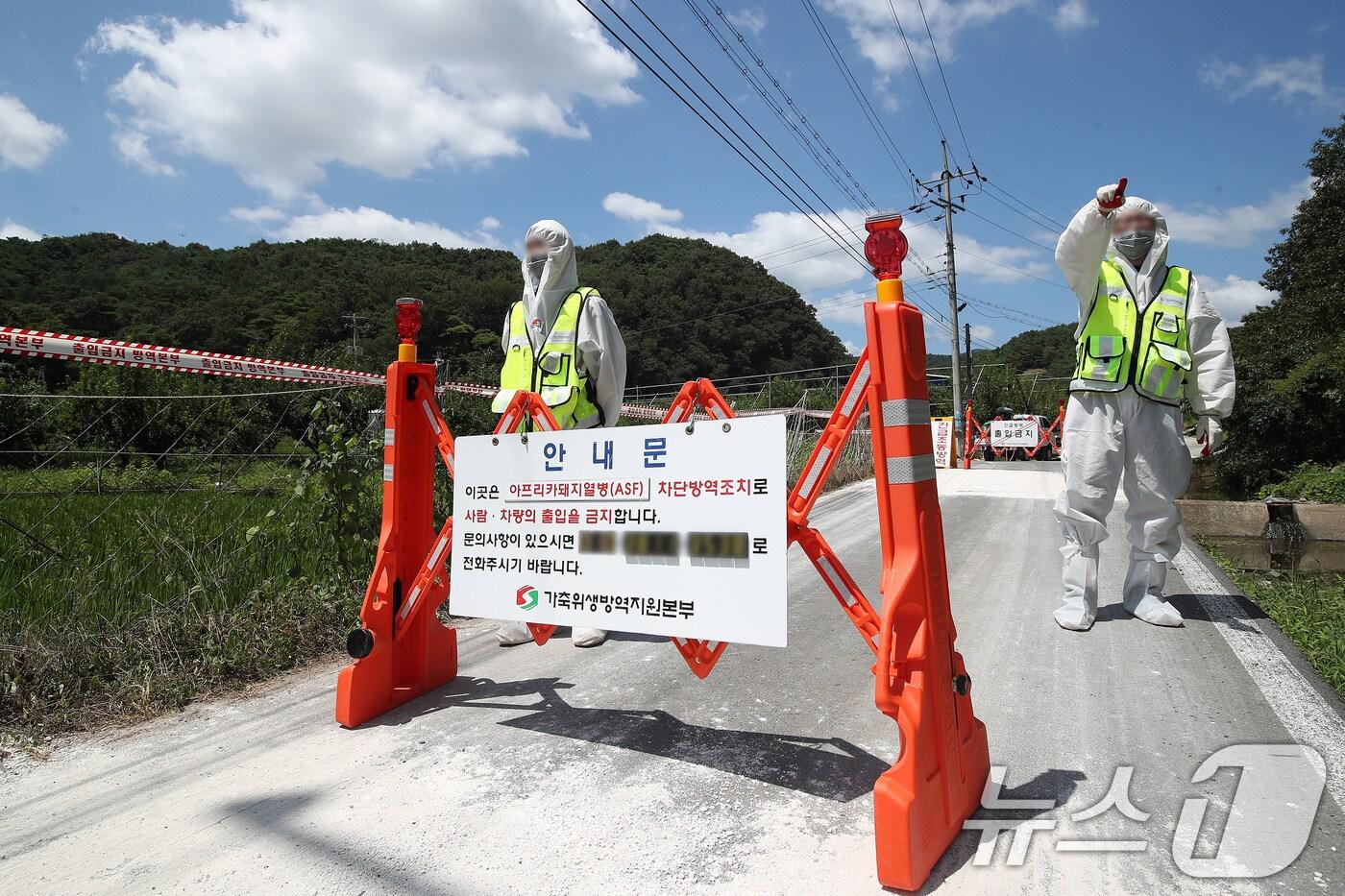 경북 영천의 한 양돈농장에서 아프리카돼지열병(ASF)이 발생해 농장 출입이 통제돼 있는 모습. ⓒ News1 공정식 기자