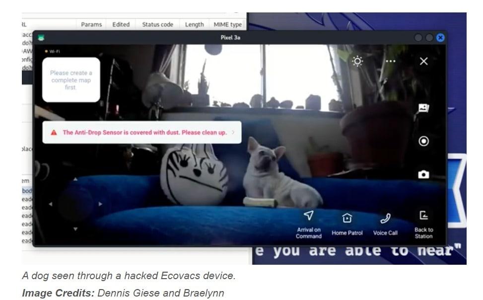 본문 이미지 - 해킹된 에코백스 장치를 통해 본 강아지(테크크런치 갈무리. 데니스 기스 및 브레일린 제공).