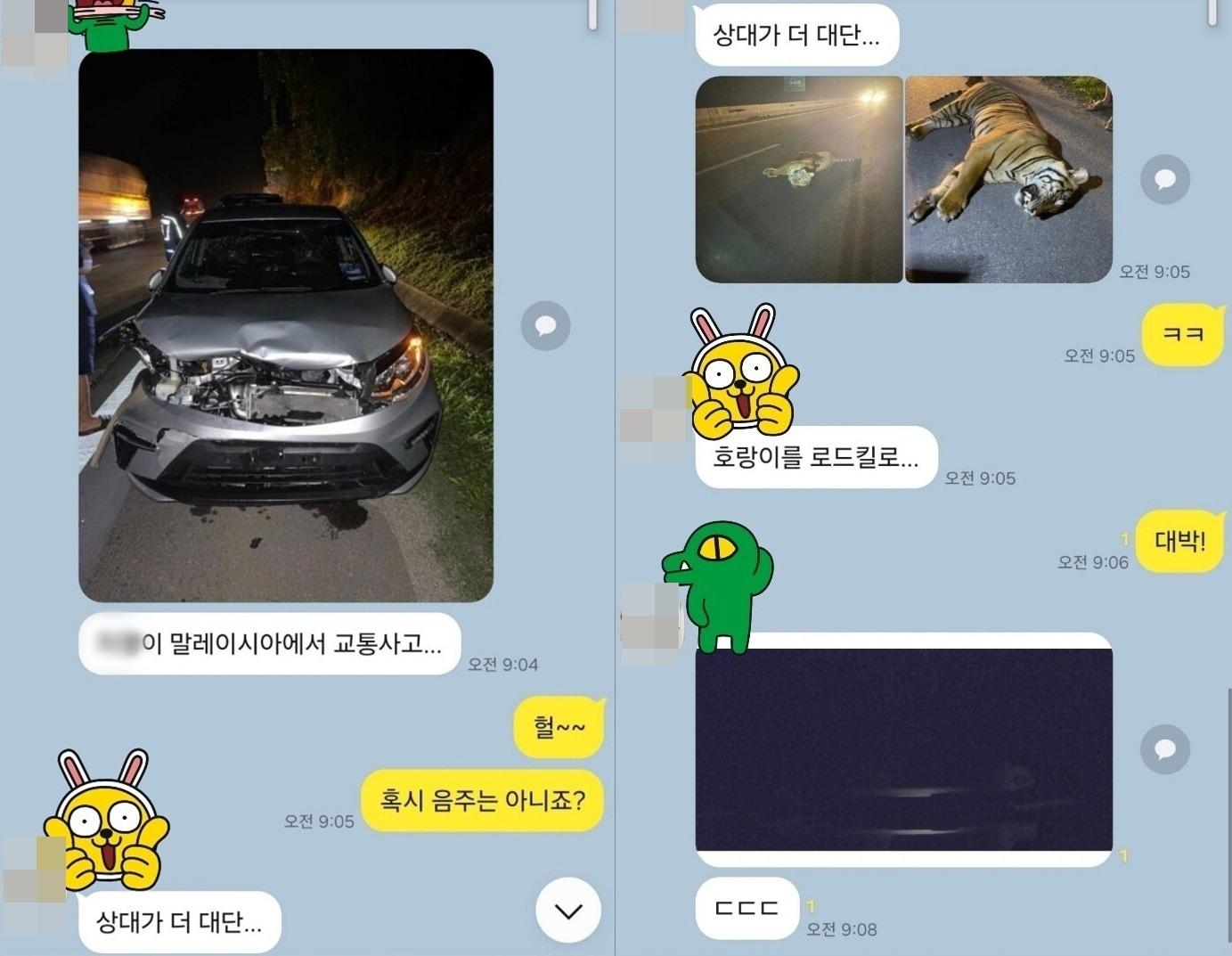 본문 이미지 - (온라인 커뮤니티 갈무리)