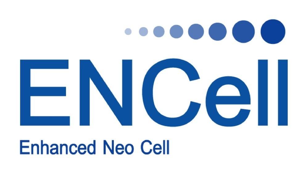 본문 이미지 -  이엔셀./뉴스1 ⓒ News1