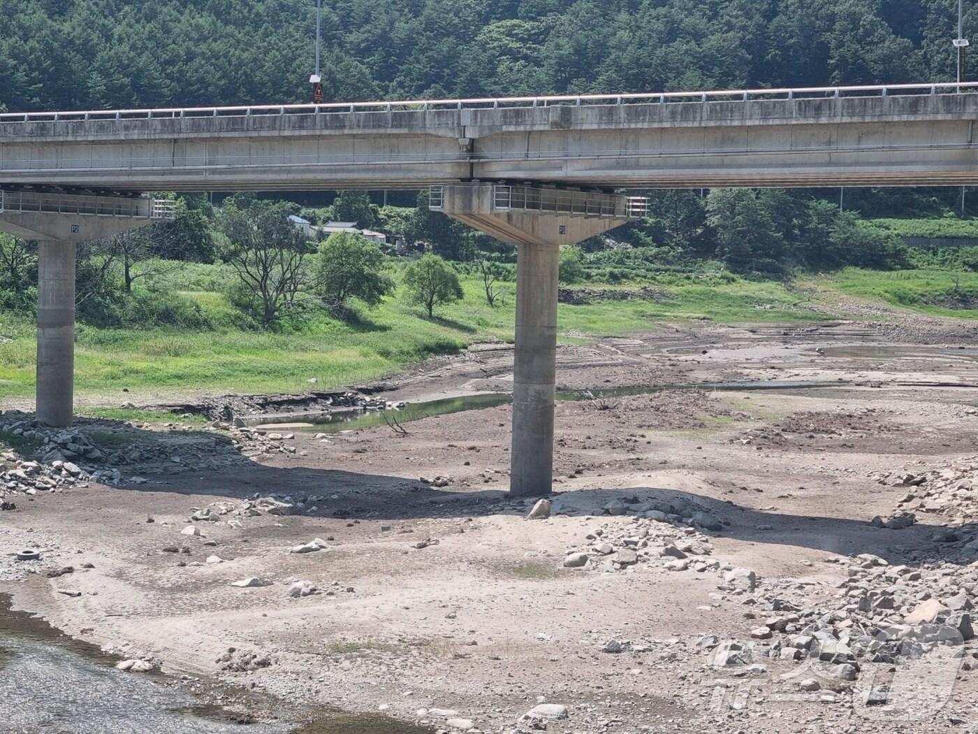본문 이미지 - 무더위가 이어진 14일 강원 강릉시 성산면 오봉저수지 인근 도마천 일대가 바닥을 드러내고 있다. 이날 기준 강릉 오봉저수지 저수율은 39.3%로 전국 평균(75.4%)보다 현저히 낮은 수준을 보이고 있다. 2024.8.14/뉴스1 ⓒ News1 윤왕근 기자