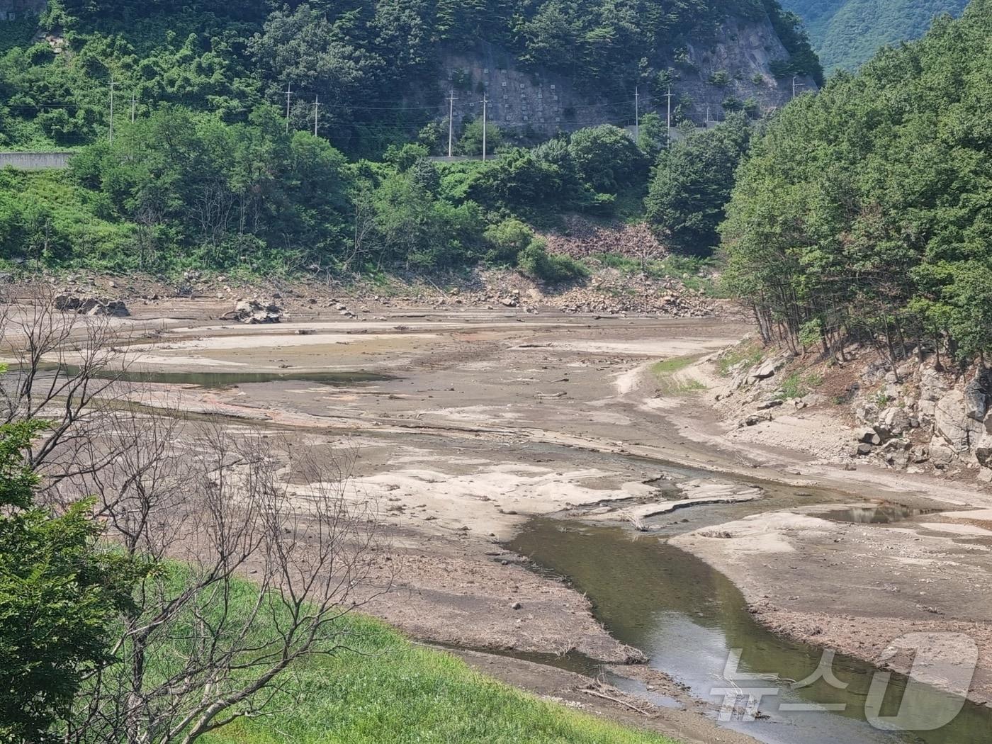 본문 이미지 - 기사 이해를 돕기 위한 하천 가뭄 현상 자료 사진으로 기사내용과 관련 없음. ⓒ News1