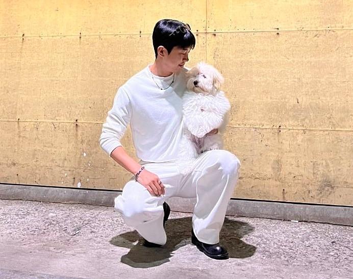 본문 이미지 - 임영웅 공식 팬카페 영웅시대 갈무리