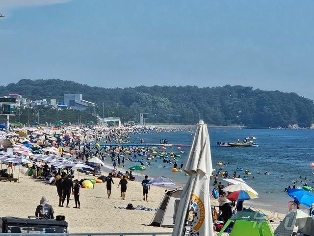 본문 이미지 -  피서객들이 보령 대천해수욕장에서 물놀이를 하고 있다. 2024.8.18 (보령시 제공) /뉴스1 