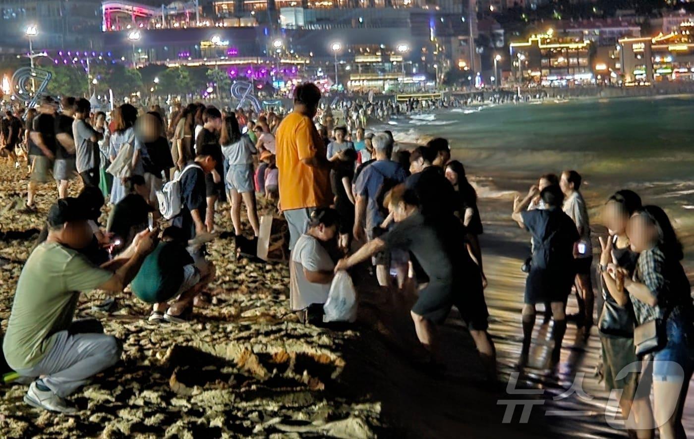 본문 이미지 - 부산 해운대해수욕장이 피서객들로 붐비고 있다.2024.8.18/뉴스1 ⓒ News1 조아서 기자