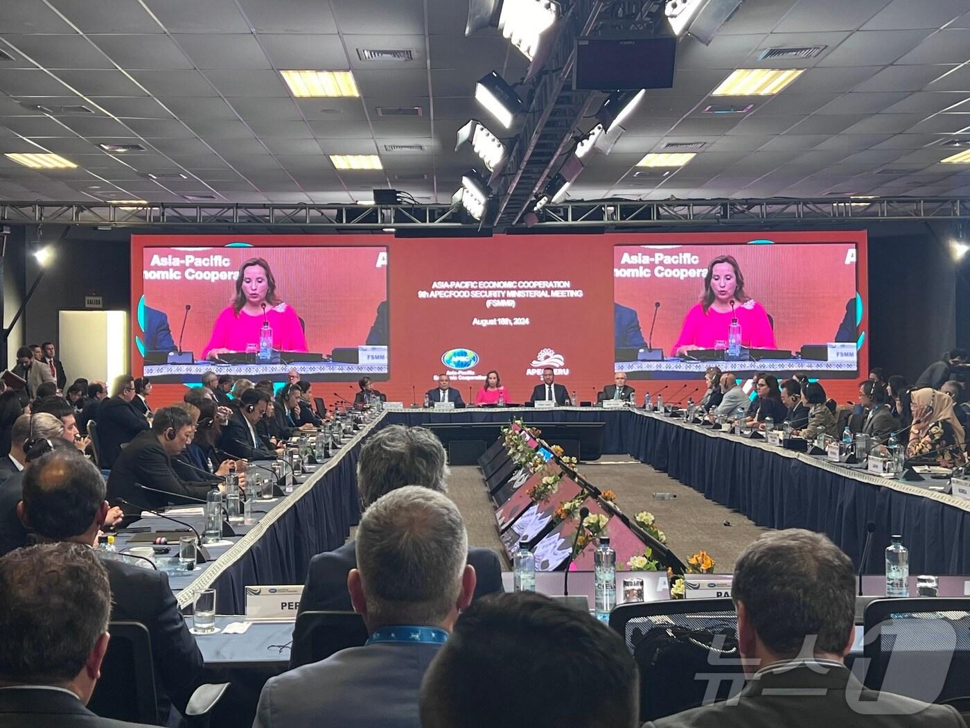 본문 이미지 - 페루에서 열린 아시아태평양경제협력체(APEC) 식량안보장관회의.(농식품부 제공) 