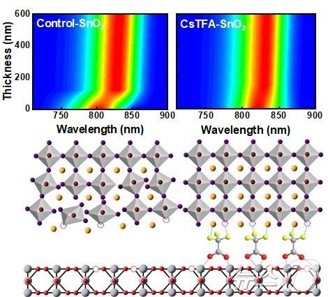 본문 이미지 - 양방향 조율 분자 도입을 통한 페로브스카이트 결정성 변화 및 두께-기반 광발광 분석 개략도. (UNIST 제공)