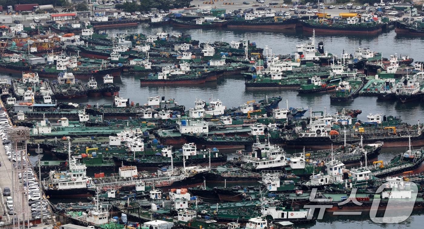 본문 이미지 - ⓒ 뉴스1 윤일지 기자