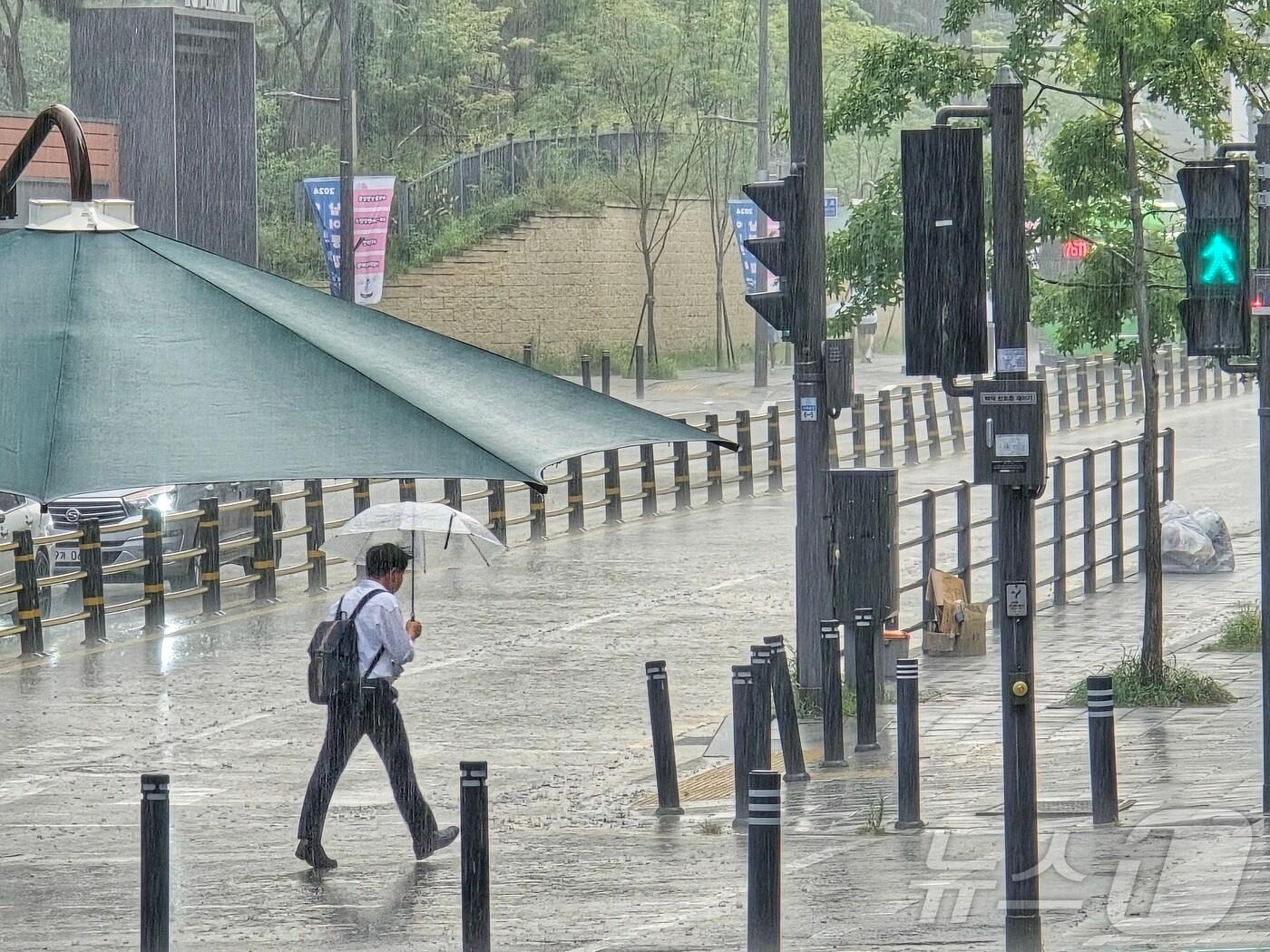 본문 이미지 - 지난 19일 시민들이 비를 피해 급히 길을 걷고 있다. 2024.8.19/뉴스1 ⓒ News1 황덕현 기후환경전문기자