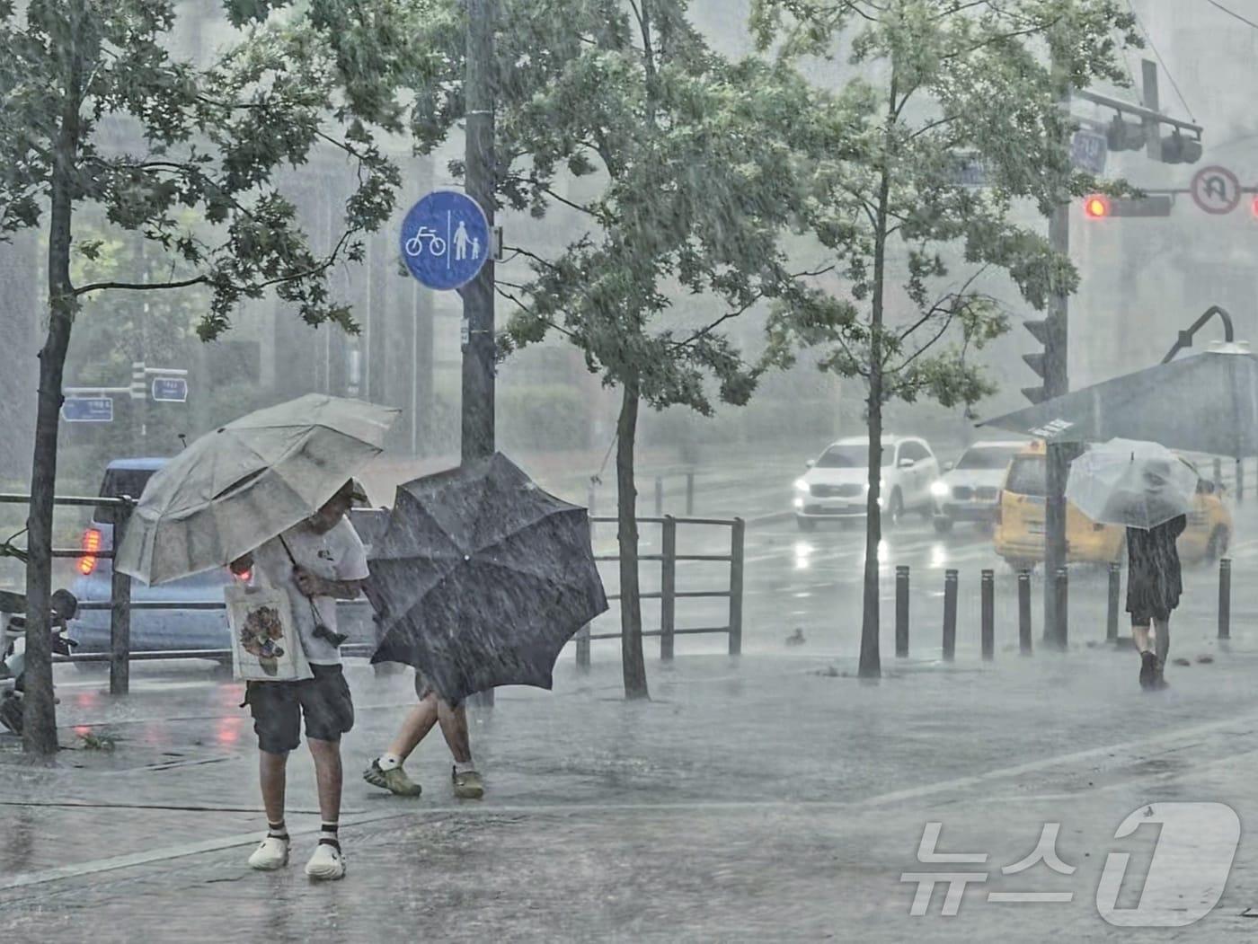 본문 이미지 - 시민들이 비를 피해 급히 길을 걷고 있다. 2024.8.19/뉴스1 ⓒ News1 황덕현 기후환경전문기자