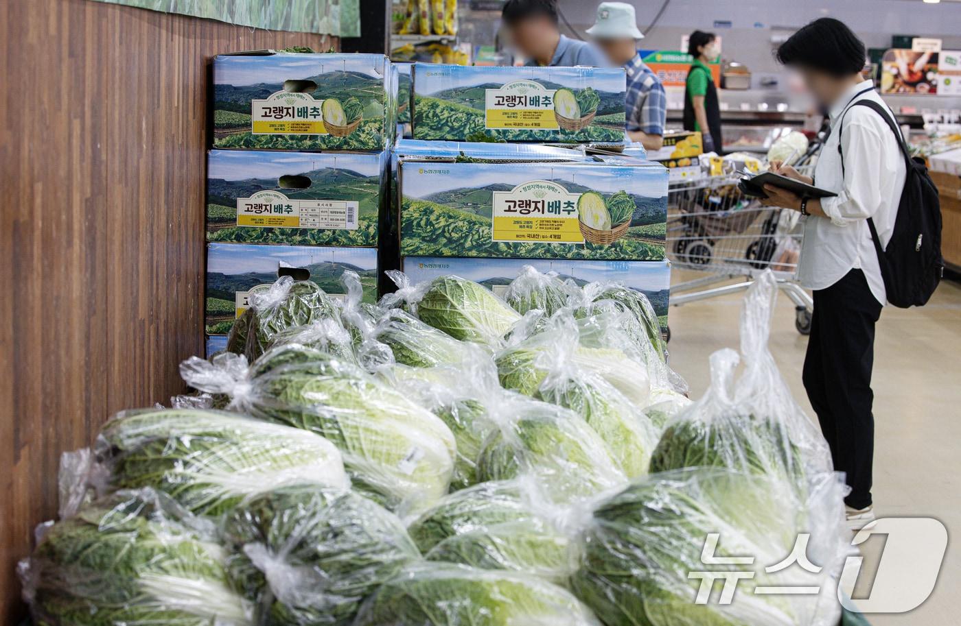 본문 이미지 - 서울의 한 대형마트에서 시민들이 배추를 고르고 있다. 2024.8.20/뉴스1 ⓒ News1 이재명 기자