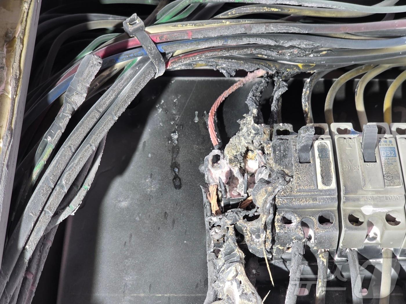 본문 이미지 - 분전함 사진(경기 부천소방서 제공)/뉴스1