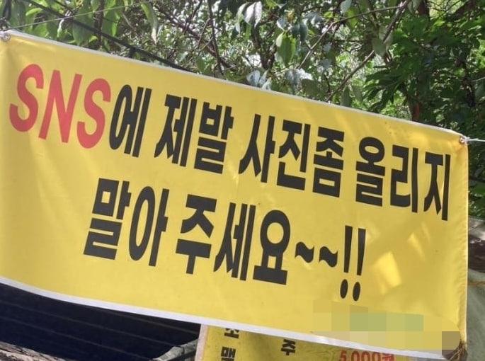 본문 이미지 - (온라인 커뮤니티)