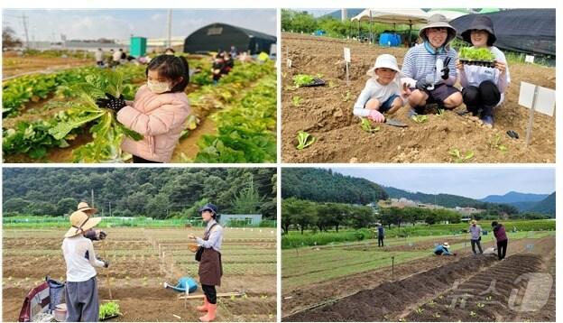 본문 이미지 -  (서울시 제공) 