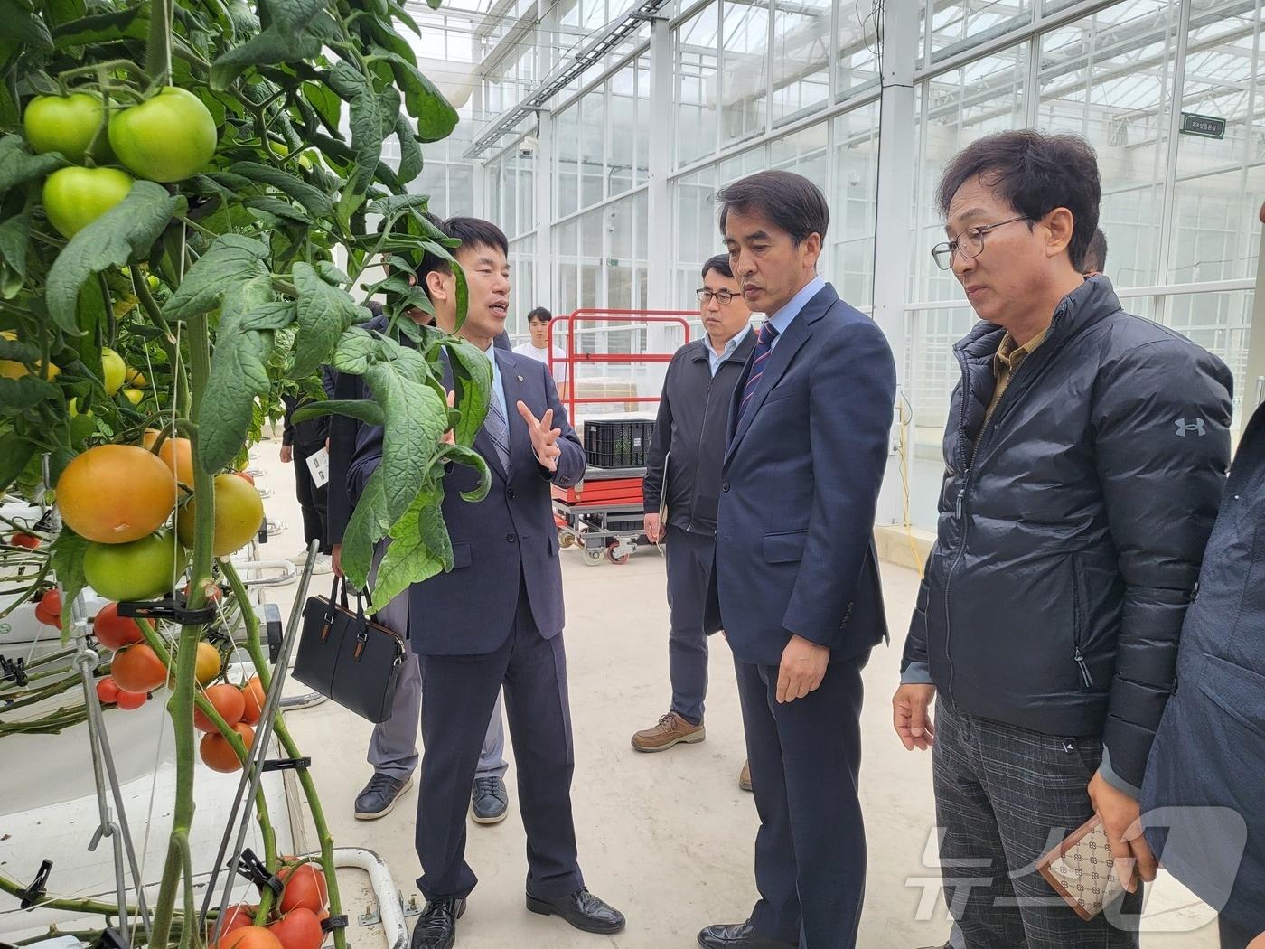 본문 이미지 - 최재형 보은군수 일행이  상주시 소재 스마트팜 혁신밸리 현장을 둘러보고 있다.  &#40;보은군 제공&#41; /뉴스1