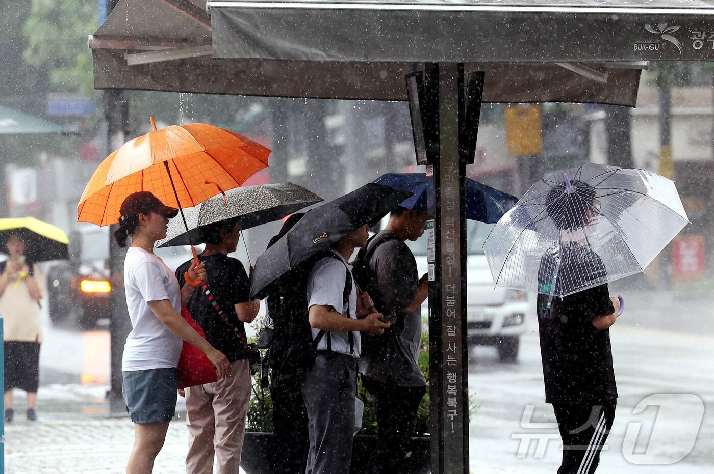 본문 이미지 - 자료사진/뉴스1