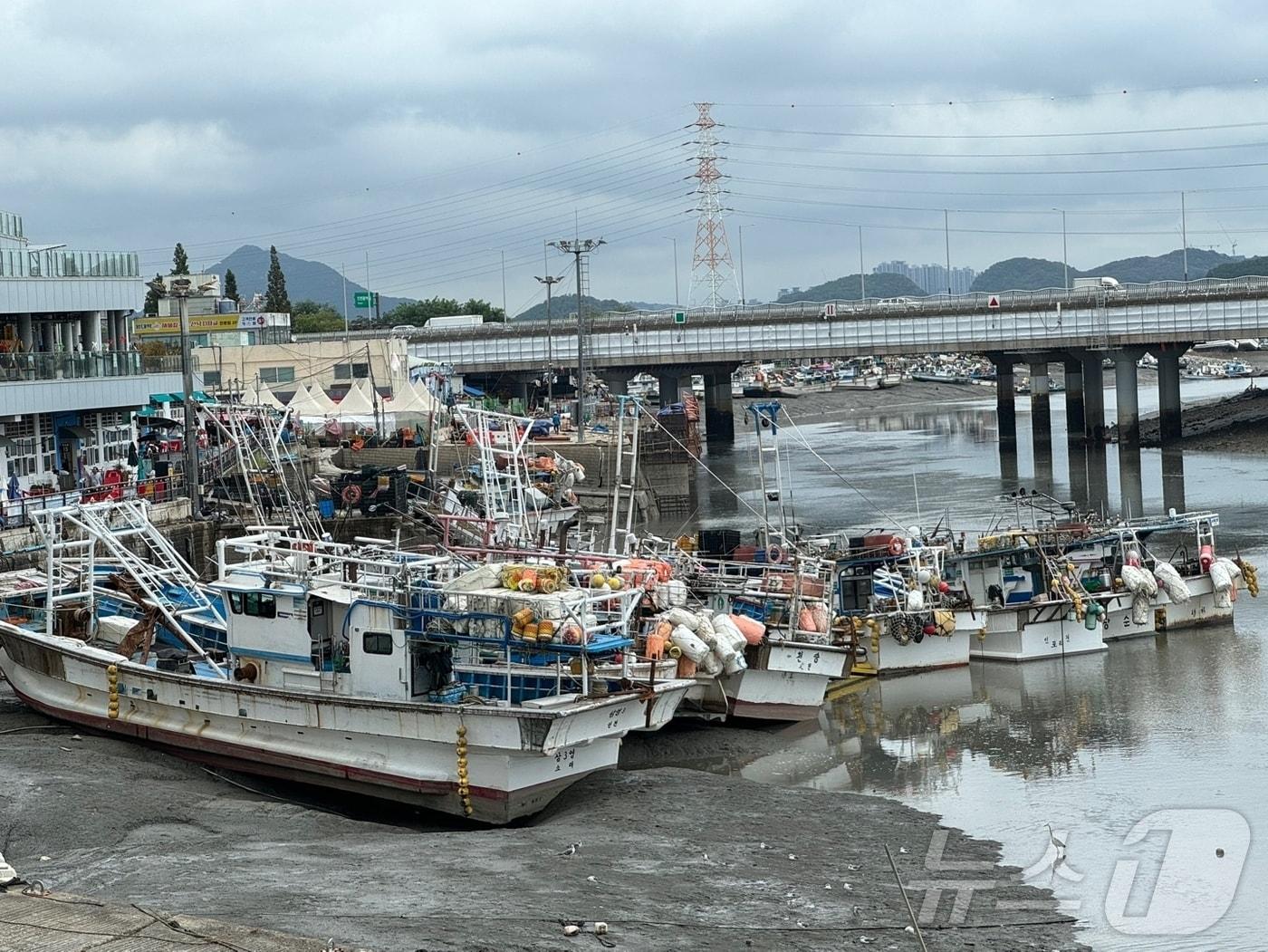 본문 이미지 - 1년 중 밀물의 수위가 가장 높은 &#39;백중사리&#39; 기간인 21일 오후 2시쯤 인천 남동구 소래대교 아래. 해양수산부는 인천의 해수면 높이가 9m67cm까지 높아질 것으로 예상했다.2024.8.21/뉴스1 ⓒ News1 박소영 기자