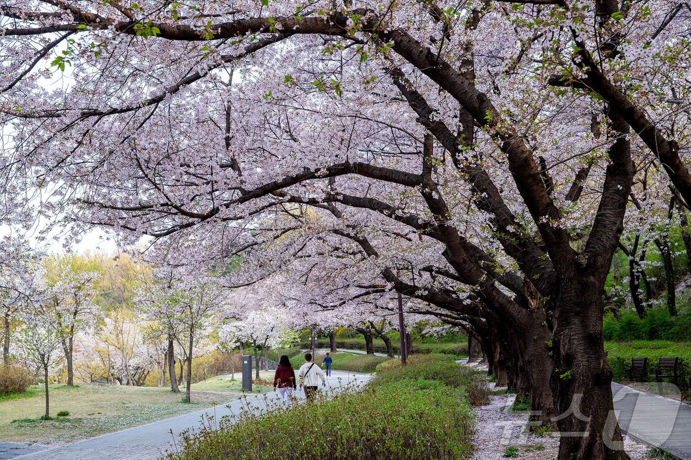 북서울꿈의숲. (서울시 제공)  