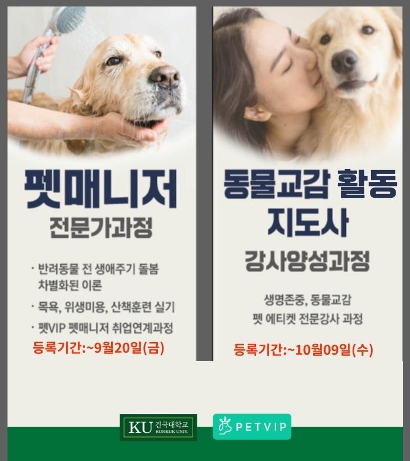 본문 이미지 - 펫VIP 펫매니저 전문가과정 모집 포스터(브이아이펫 제공) ⓒ 뉴스1