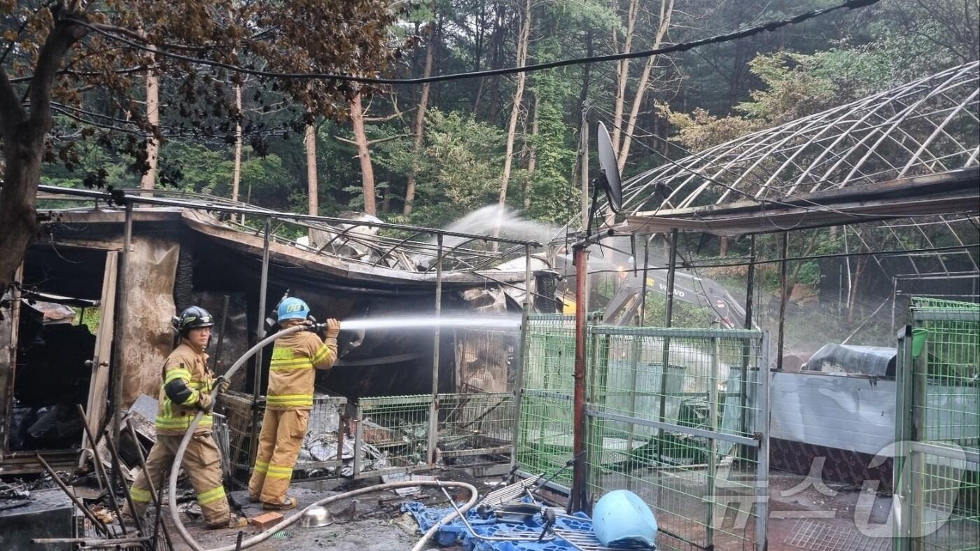 남양주 유기견보호소 화재(남양주소방서 제공)/뉴스1