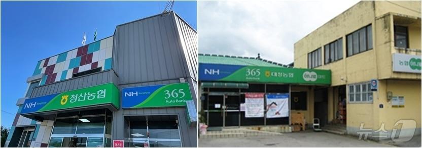 본문 이미지 - 옥천군 청산농협(왼쪽)과 대청농협 전경/뉴스1 