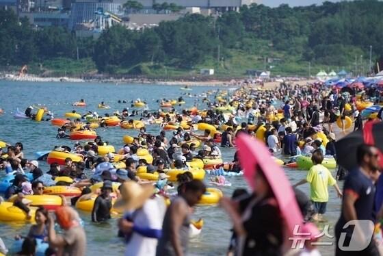 본문 이미지 - 해수욕장 자료사진. (뉴스1 DB)