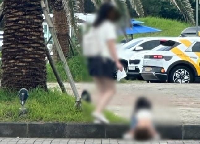 본문 이미지 - (온라인 커뮤니티)