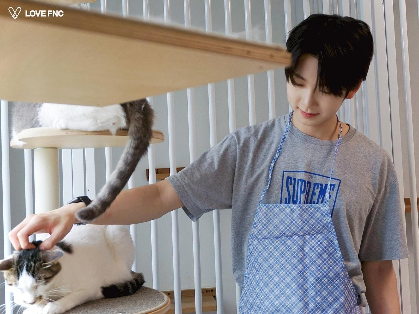 본문 이미지 - 보이그룹 앰퍼샌드원 멤버가 지난 8일 서울시 용산구에 위치한 나비야 사랑해 보호소에 방문해 고양이와 놀아주고 있다. (나비야사랑해 제공) ⓒ 뉴스1