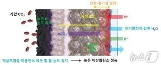 본문 이미지 - 역삼투압을 이용한 양이온막 이산화탄소 전환 성능 원리. (KIST 제공)/뉴스1