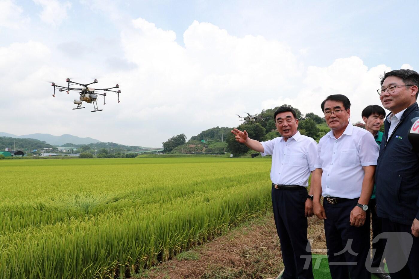 울산시가 26일 울주 청량읍 문죽리 일원에서 드론을 활용한 벼 병해충 방제 시연회를 진행하고 있다.(울산광역시제공)