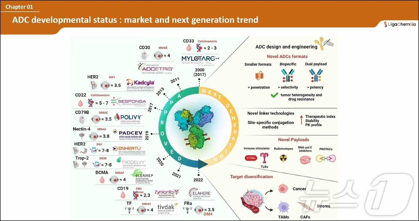 본문 이미지 - 항체약물접합체(ADC) 약물 종류와 개발 전망.(리가켐바이오사이언스 제공)/뉴스1 ⓒ News1
