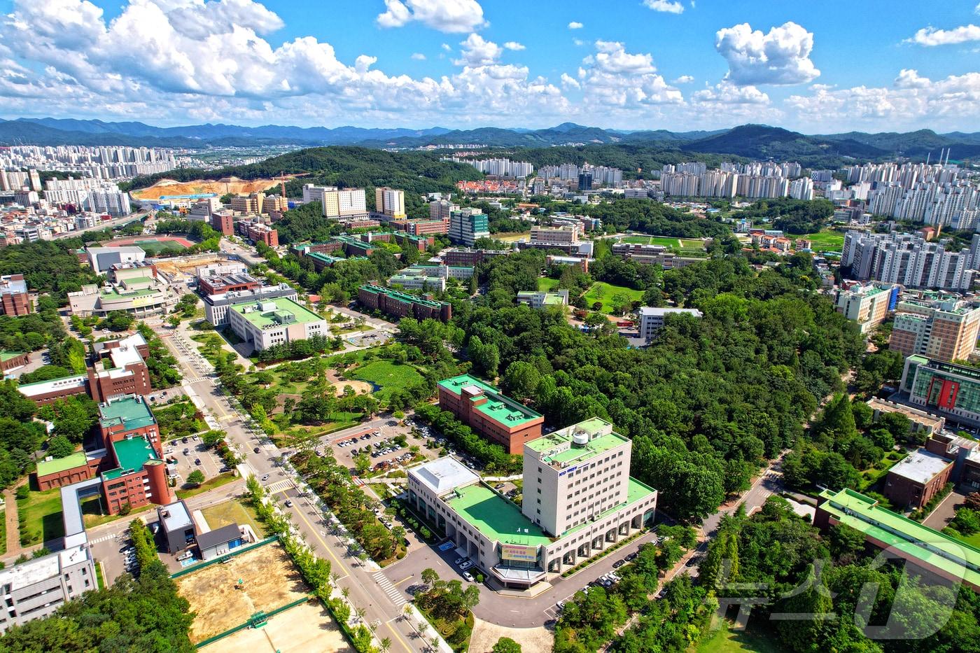 본문 이미지 - 충북대학교 전경/뉴스1