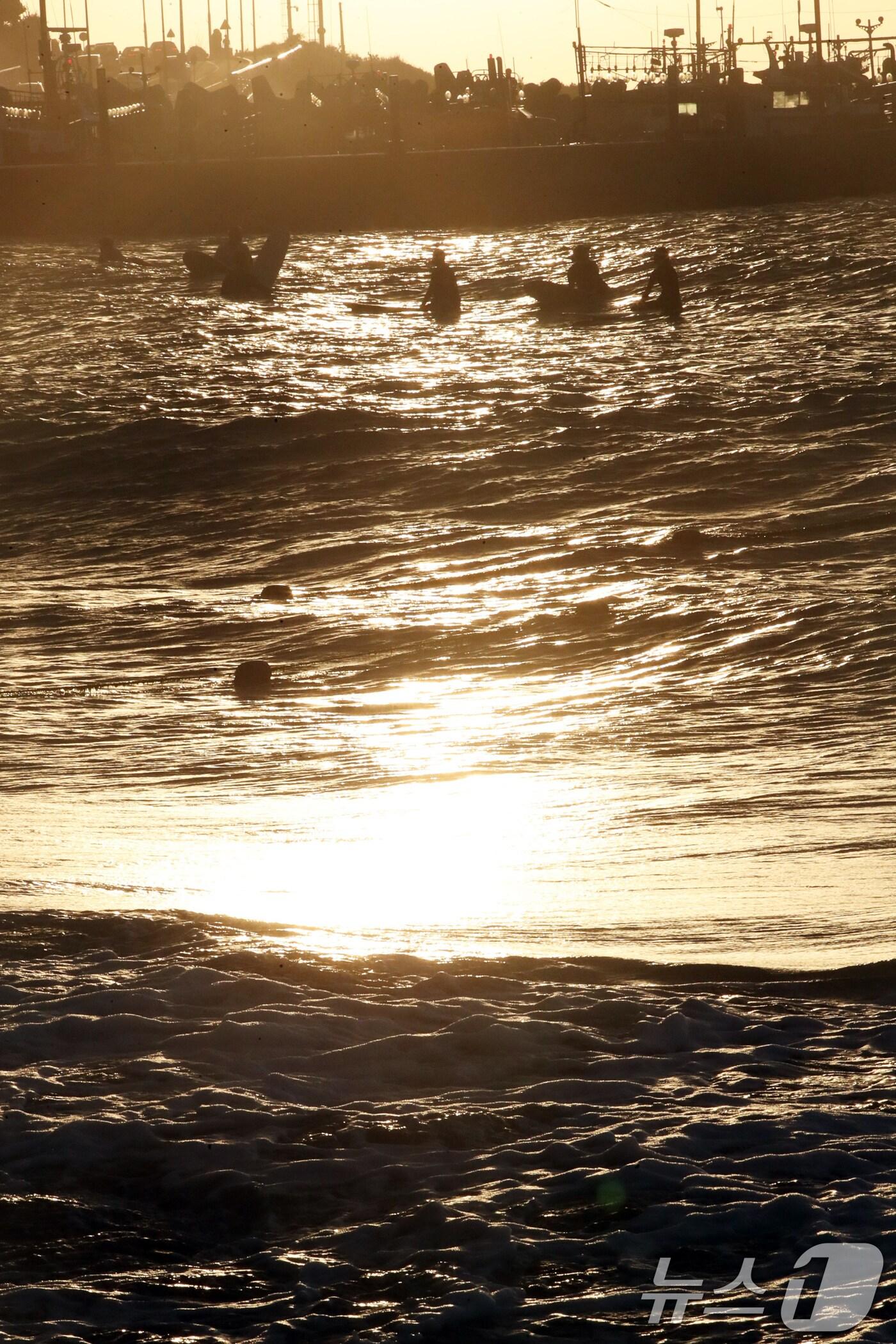 본문 이미지 - 제주시 이호해수욕장에서 시민들이 서핑을 즐기고 있다. 2024.8.28/뉴스1 ⓒ News1 오현지 기자