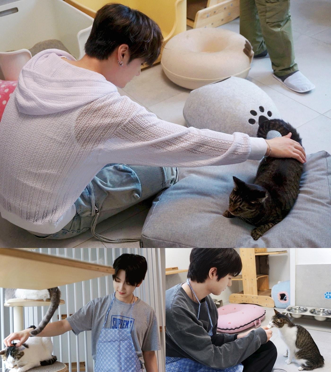 본문 이미지 - FNC엔터테인먼트 제공