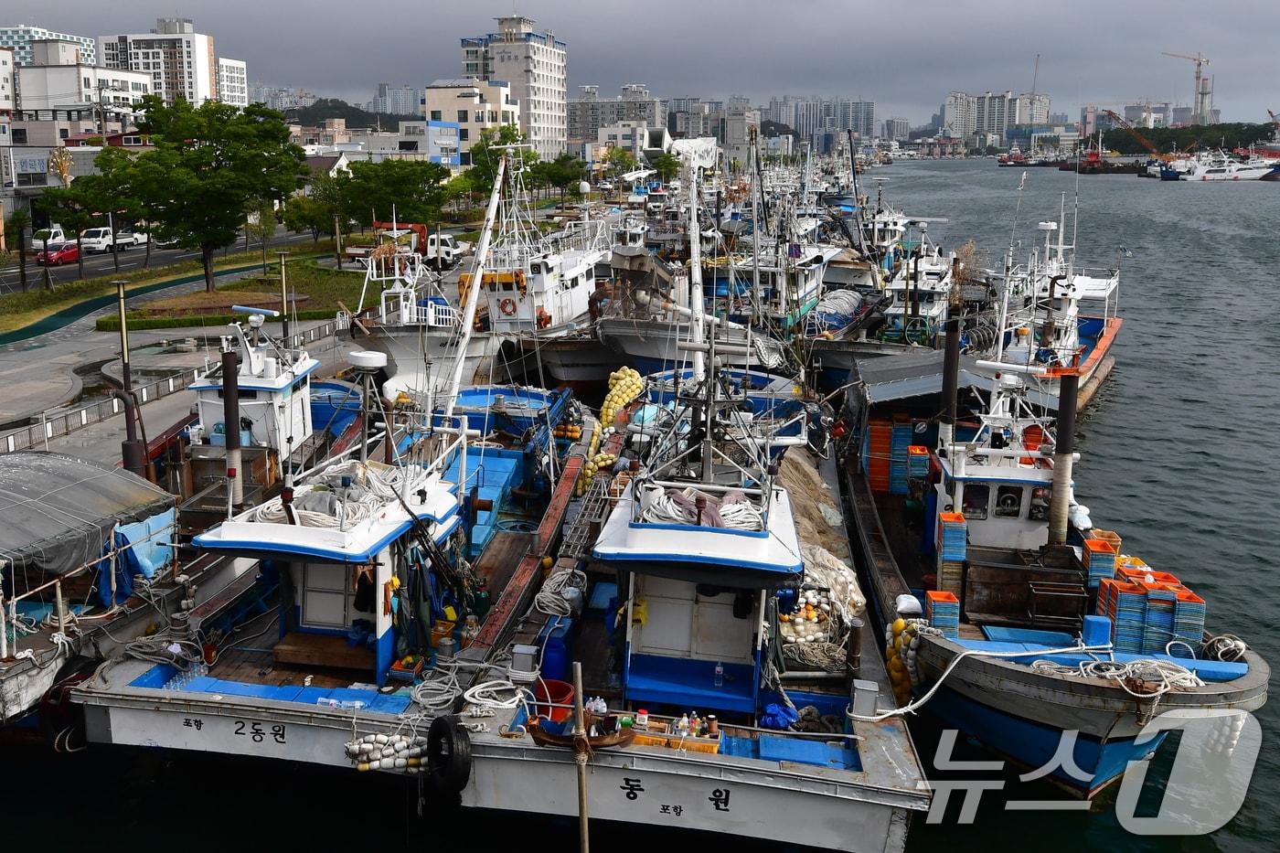  경북 포항시 북구 동빈내항 ⓒ News1 최창호 기자