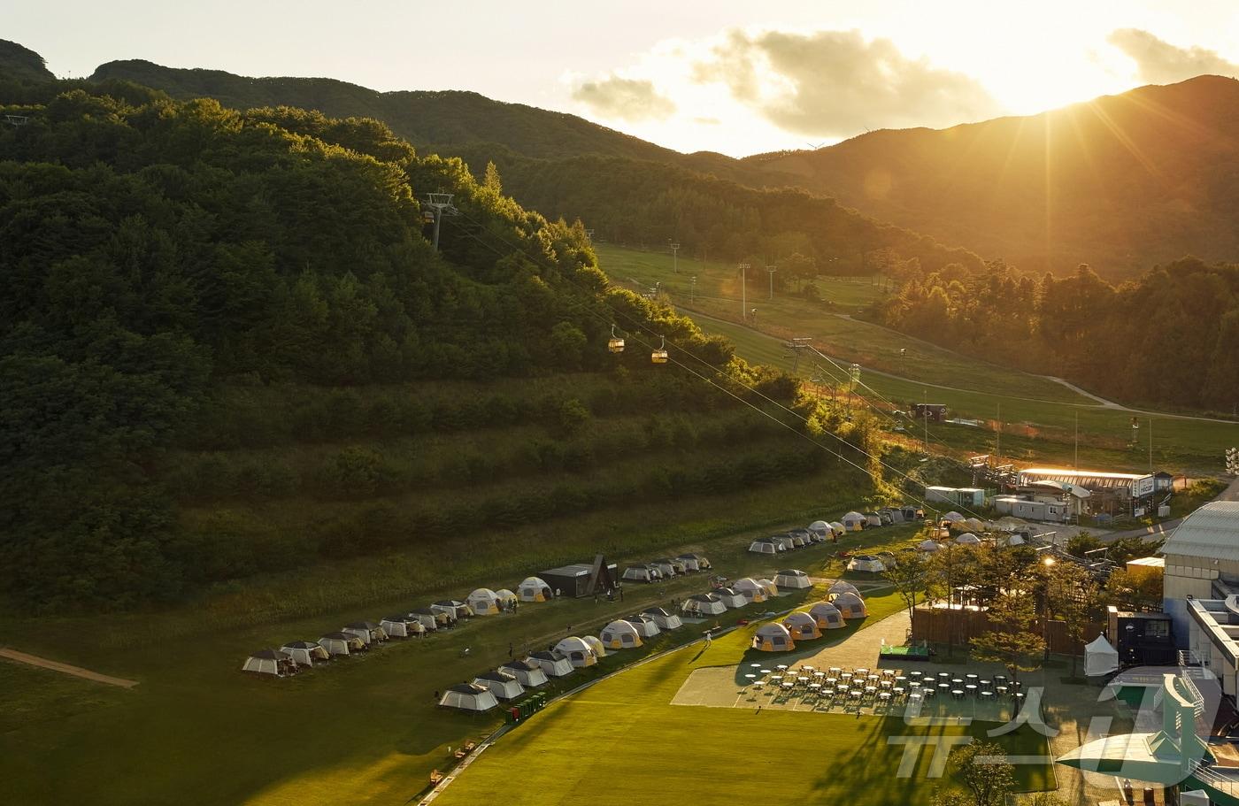 본문 이미지 - 평창 휘닉스 파크 캠핑 BBQ 전경.(휘닉스파크 제공) 2024.8.29/뉴스1