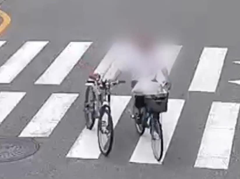 본문 이미지 - &#40;KBS 갈무리&#41;