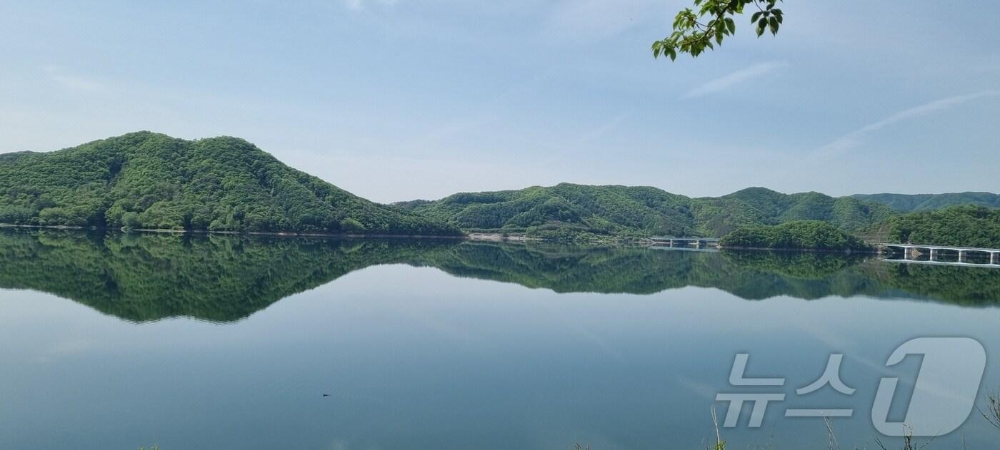 전북자치도가 1일 용담호에 조류경보 ‘관심단계’가 발령돼 오염원배출시설 지도‧점검을 강화하는 등 녹조 확산방지 대응에 나선다.2024.8.3/뉴스1