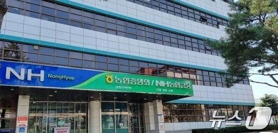 본문 이미지 - 농협 강원본부 전경./뉴스1